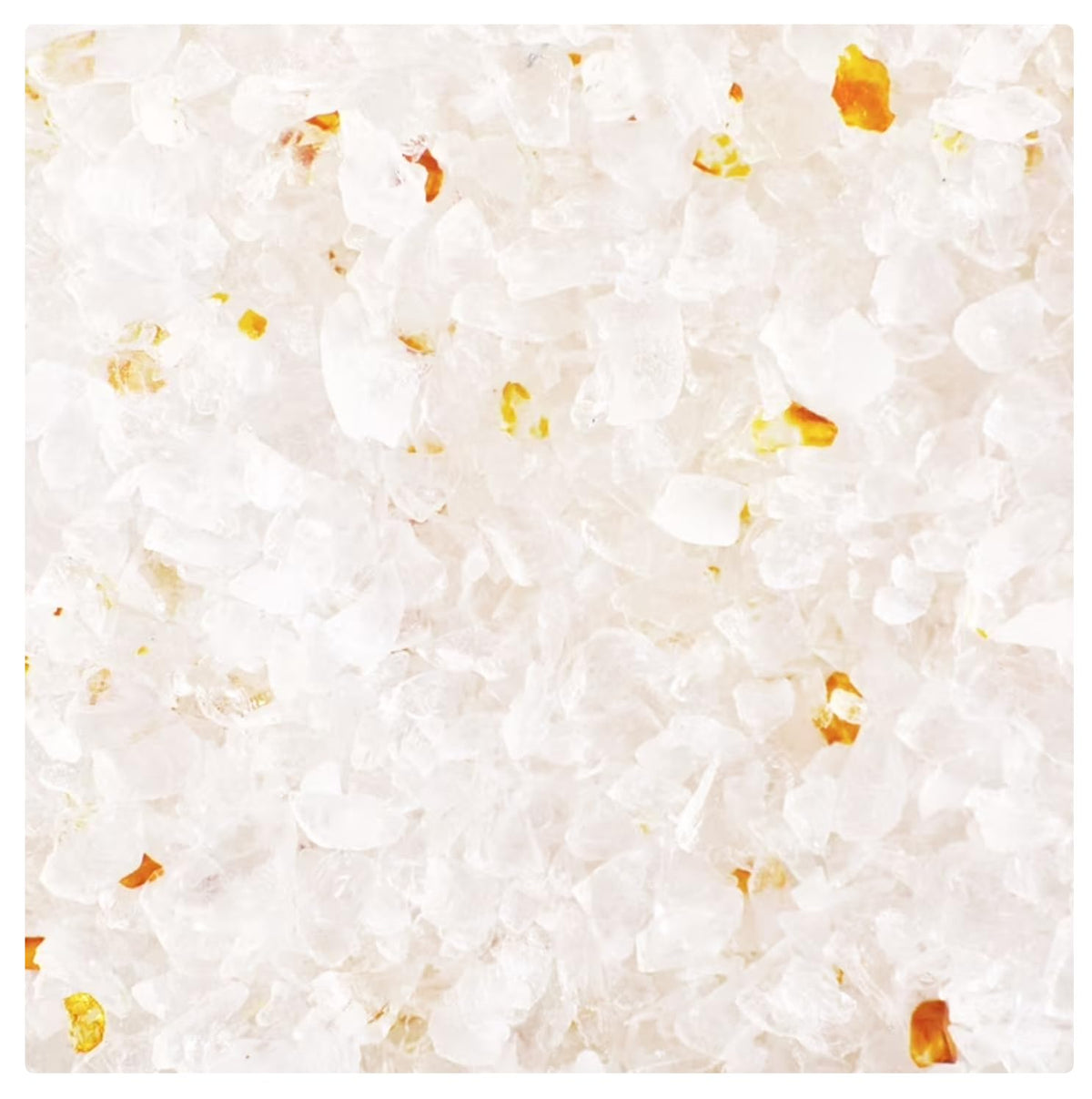 Unscented Non-Clumping Cat Litter R986