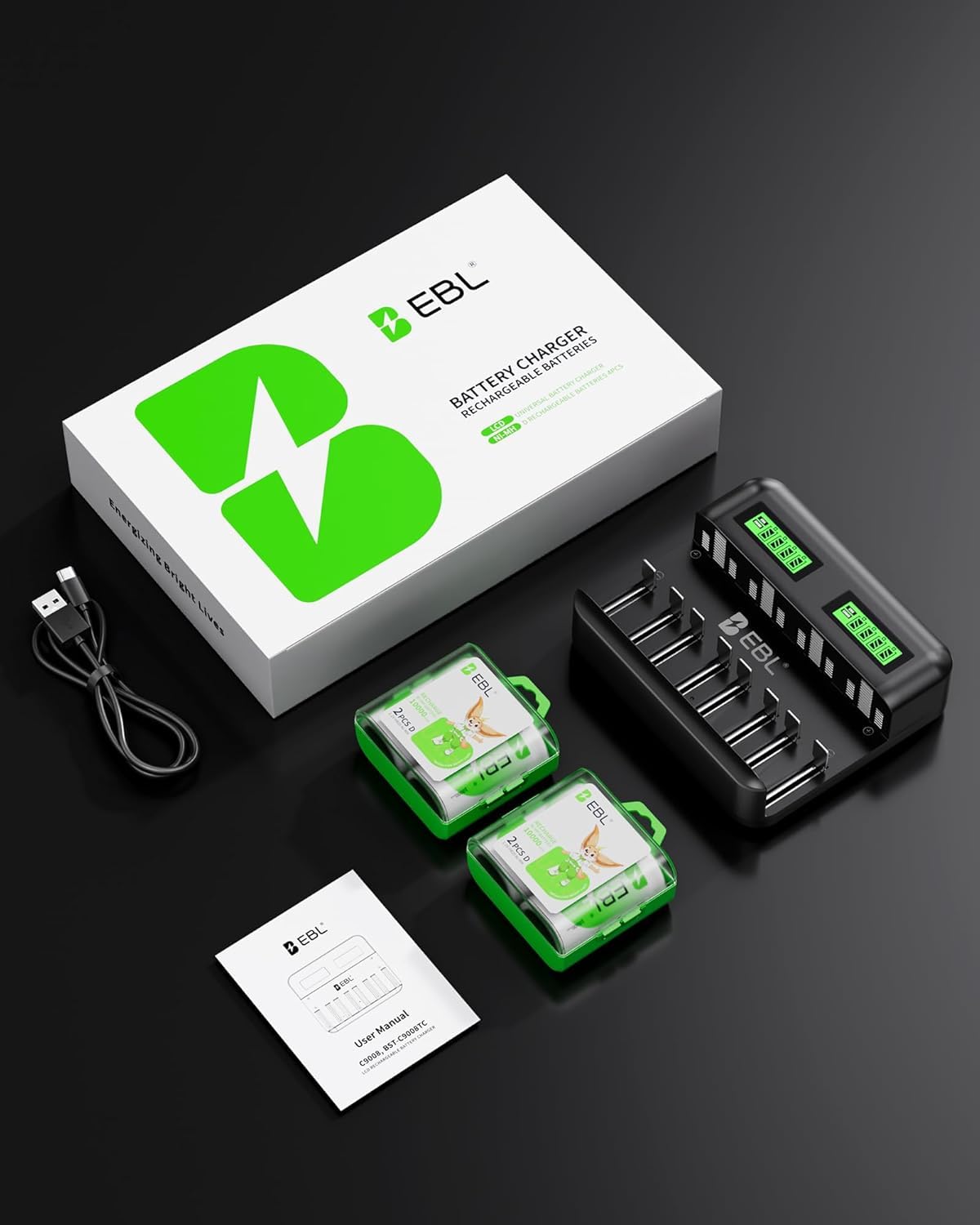 Rechargeable D Batteries 4 Pack with Battery Charger B411