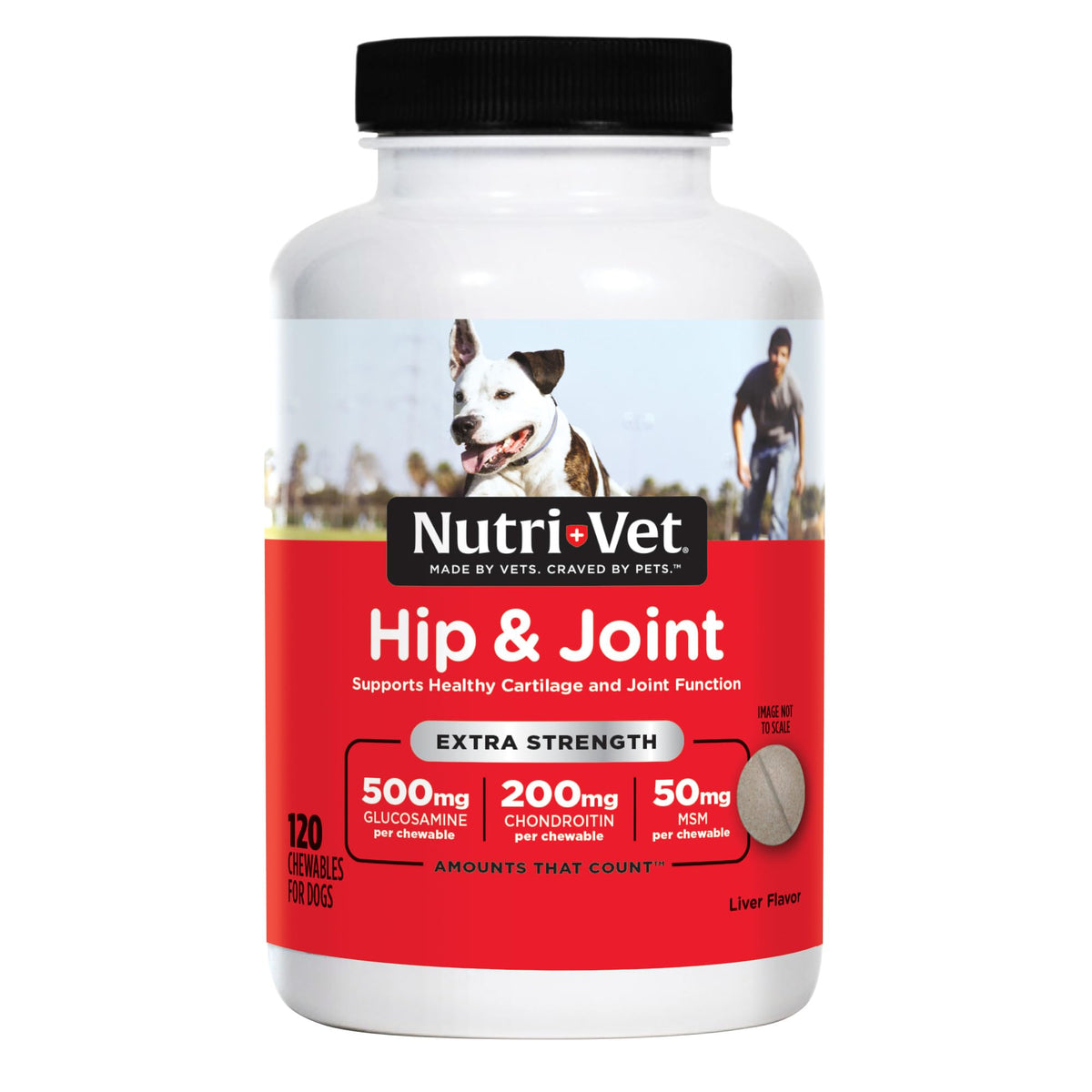 500mg Glucosamine Hip & Joint Supplement, 120 Ct F177