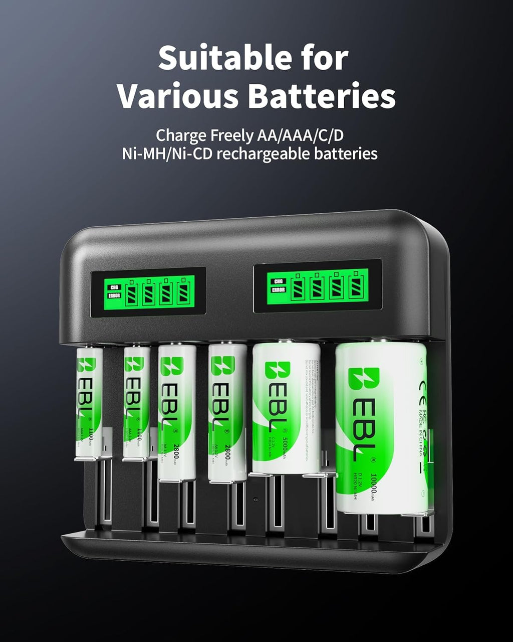 Rechargeable D Batteries 4 Pack with Battery Charger B411