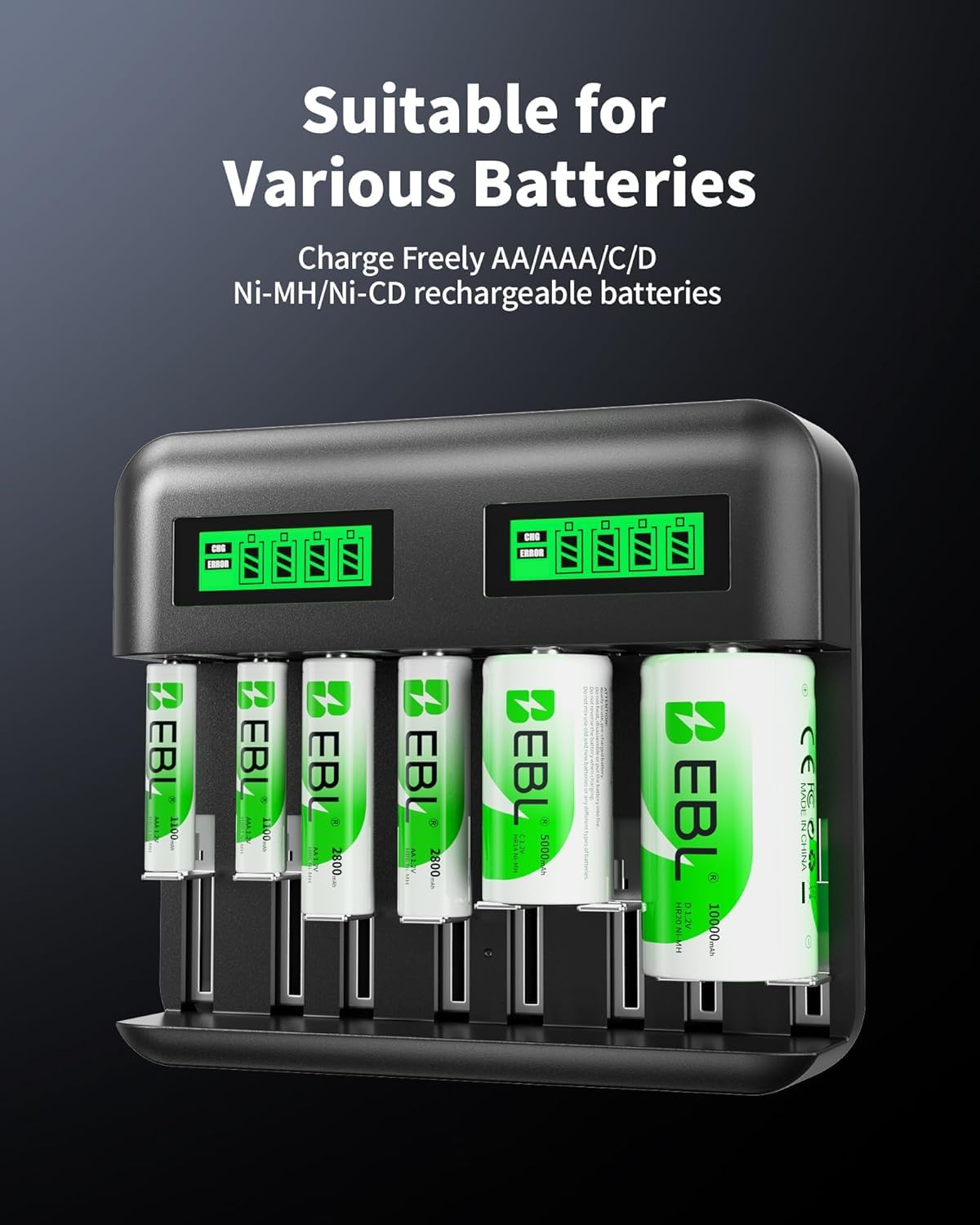 Rechargeable D Batteries 4 Pack with Battery Charger B411