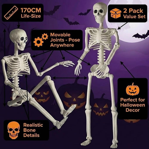 2 Pack 67" Posable Skeleton with Movable Joints V234
