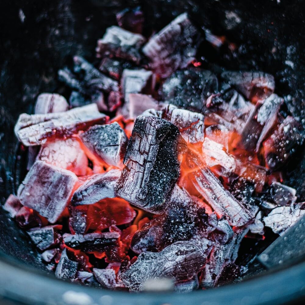 Hardwood Lump Charcoal, 8 lb H653