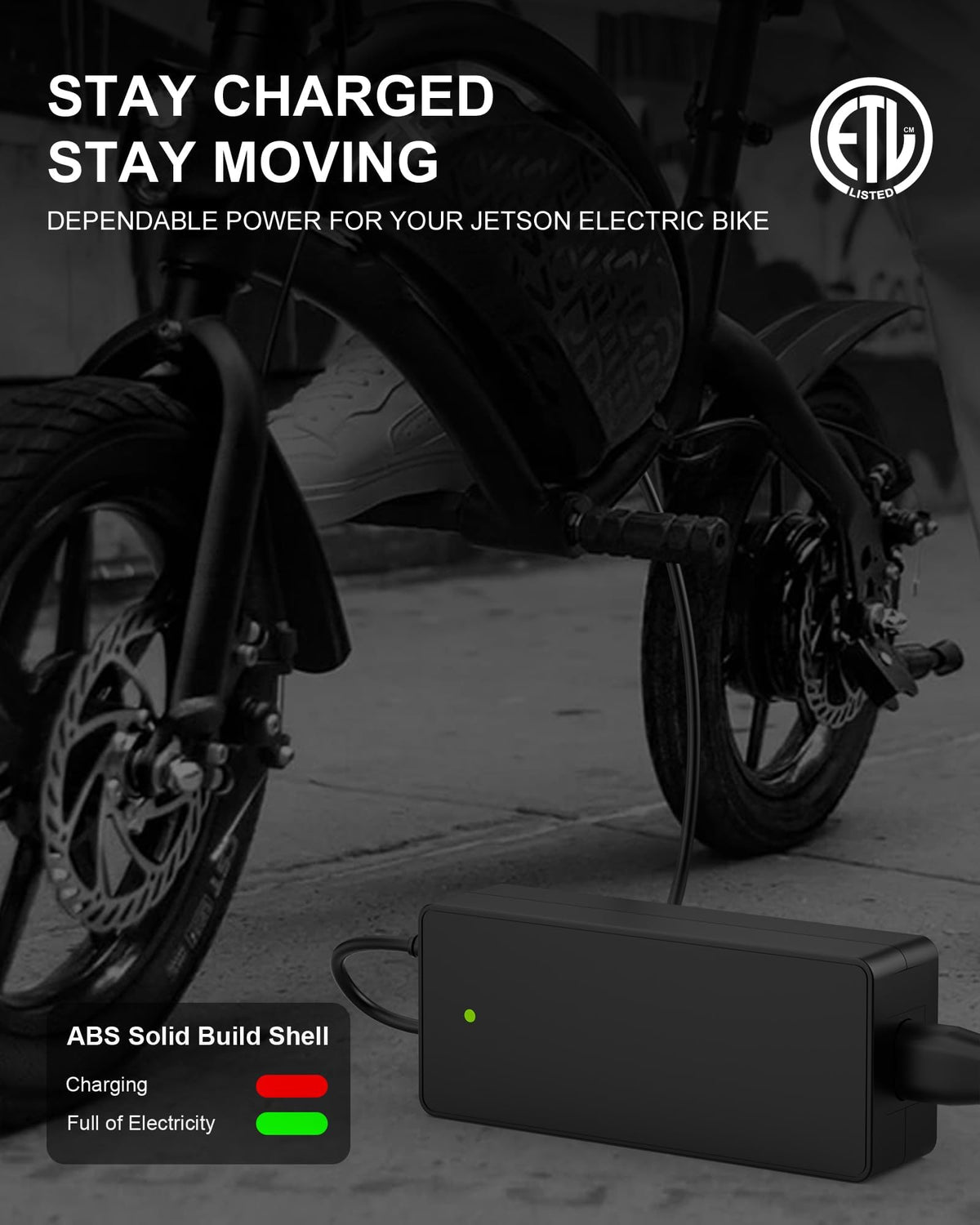 42V Charger for Electric Bike and Scooters R653