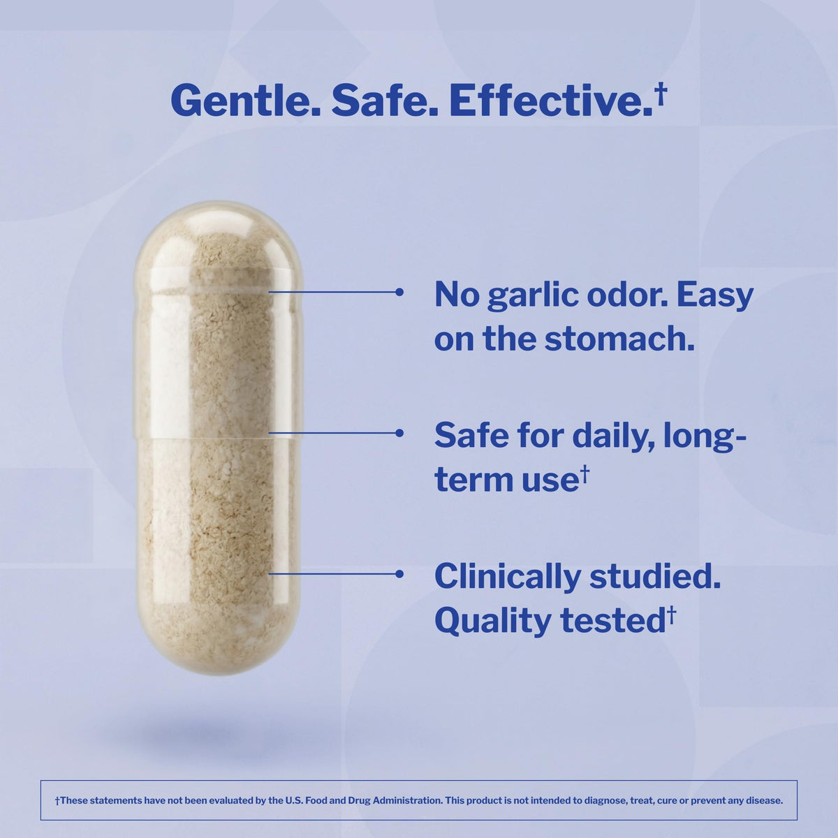 Aged Garlic Extract 240 Capsules P1753