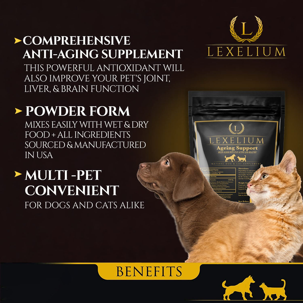 Dog & Cat Antioxidant 200g X169444