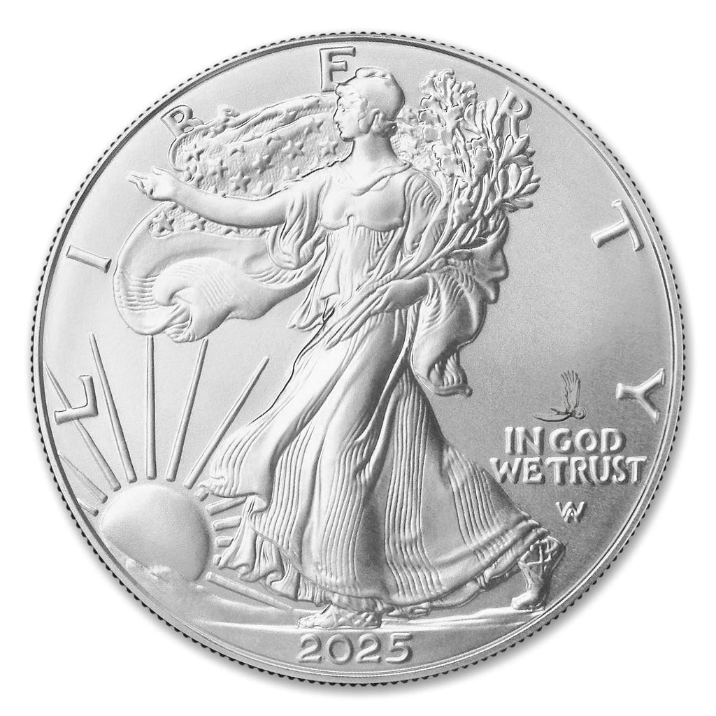 1 oz American Silver Eagle Coin M8254