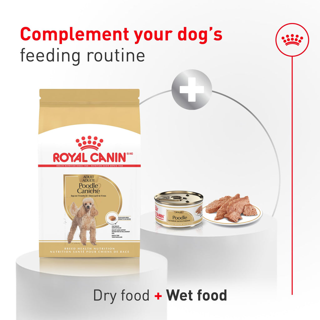 Dry Dog Food 10 lb Bag E58084