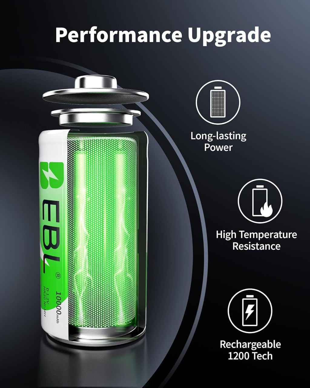 Rechargeable D Batteries 4 Pack with Battery Charger B411