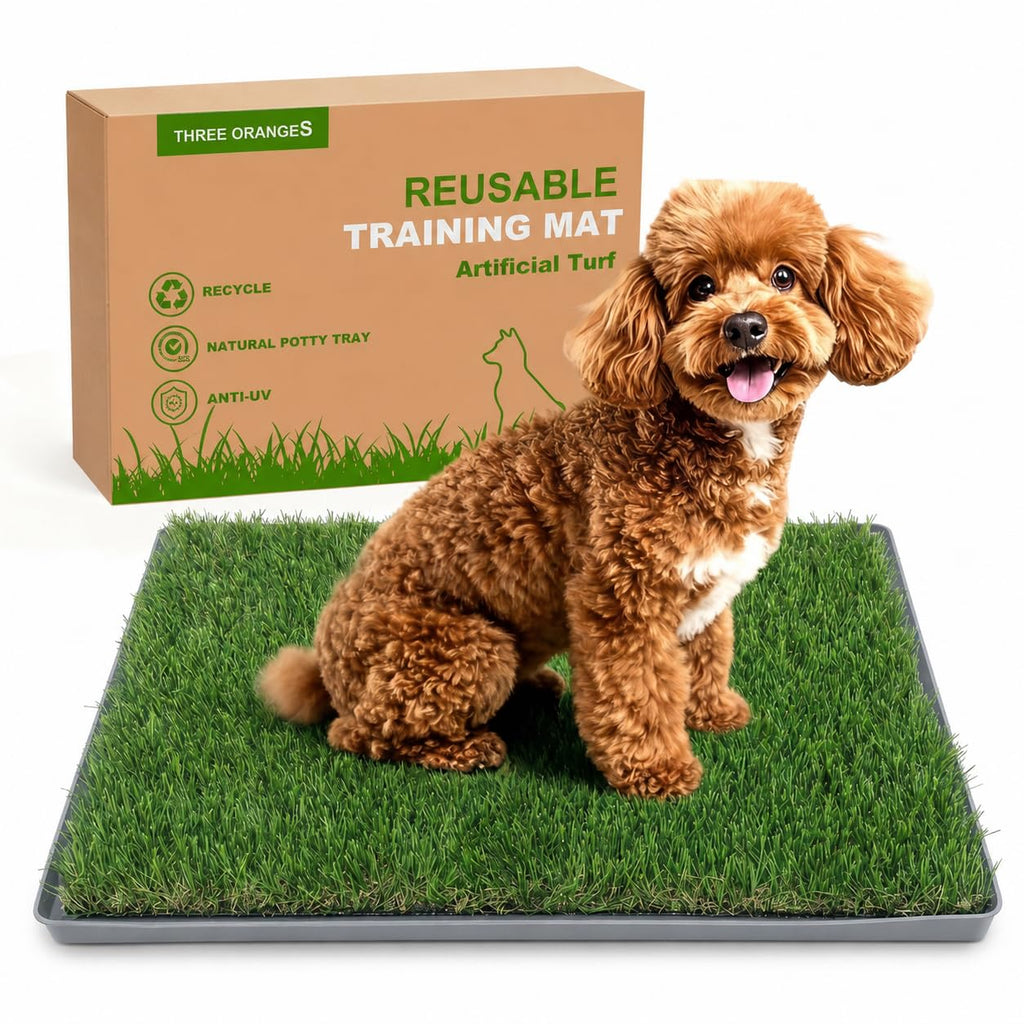 Dog Grass Pad with Tray 20" x 24" Artificial Grass Pee Pads with Non-Slip Grey Silicone Tray & 2 Replacement Grass Mats W353038