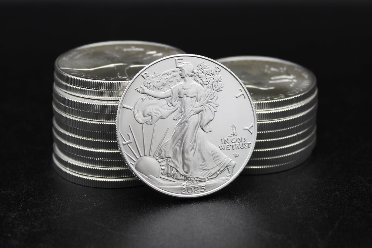 1 oz American Silver Eagle Coin M8254