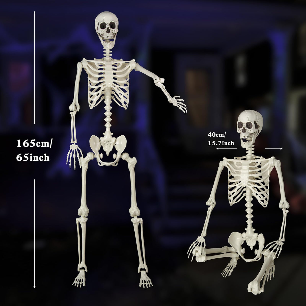 5.4 ft Posable Life Size Skeleton with Movable Joints U1771