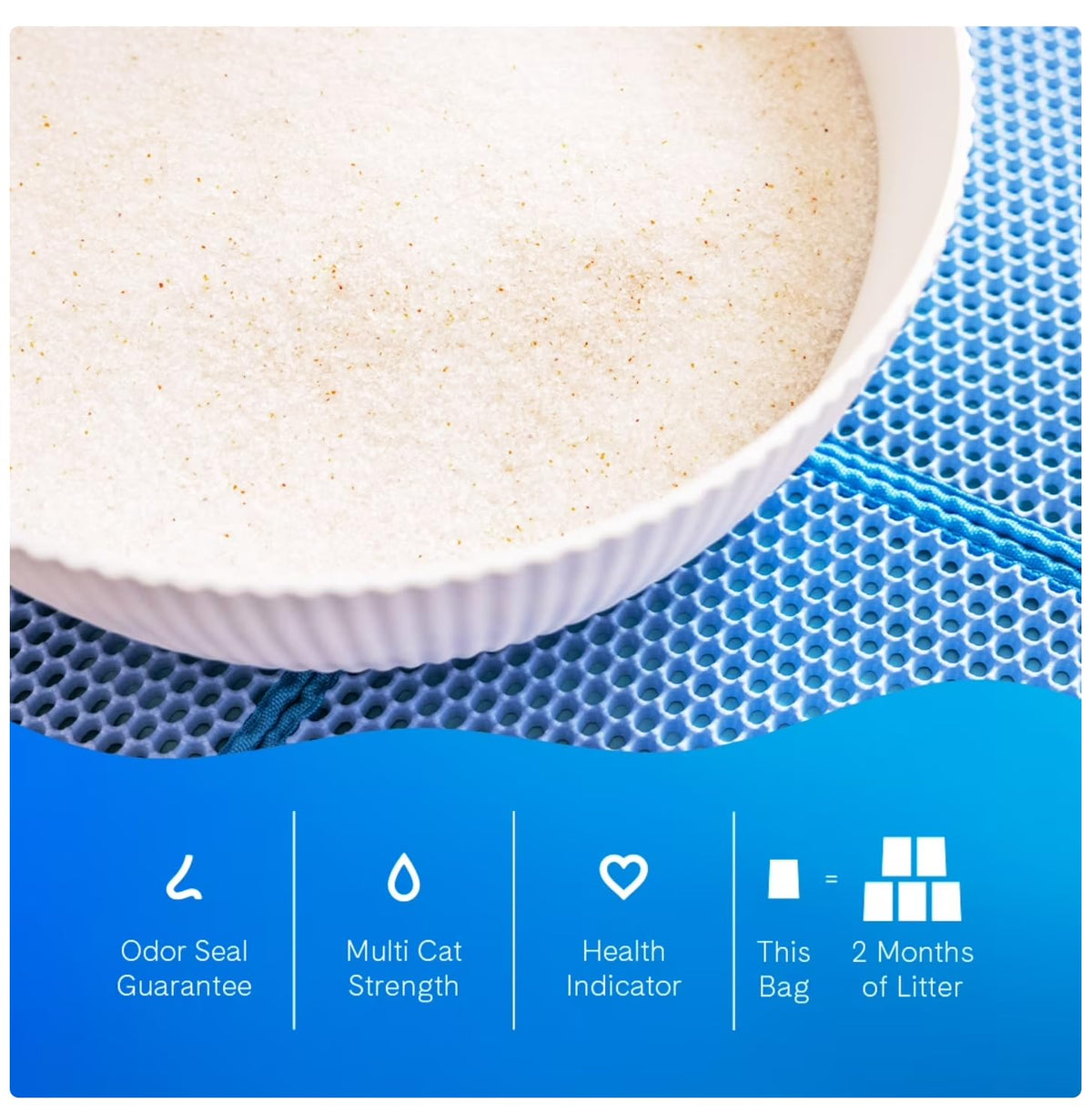 Unscented Non-Clumping Cat Litter R986