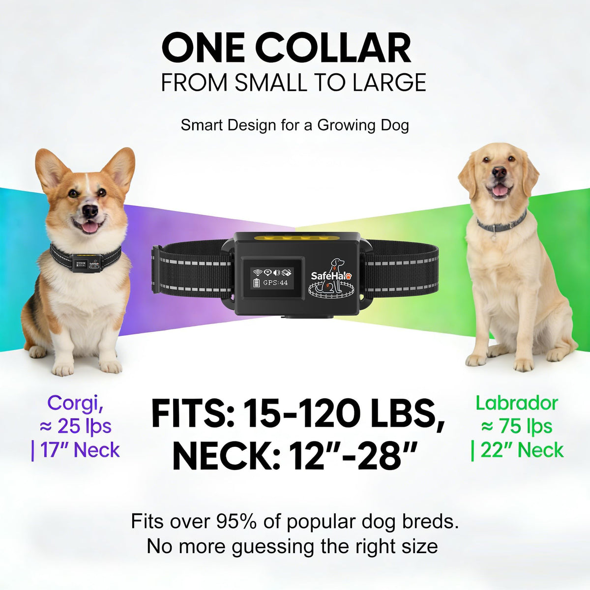 Wireless GPS Dog Fence Collar, 65–9,840 ft Radius, IPX7 Waterproof M114