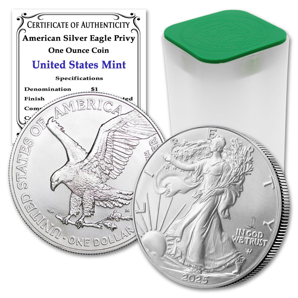 1 oz American Silver Eagle Coin M8254