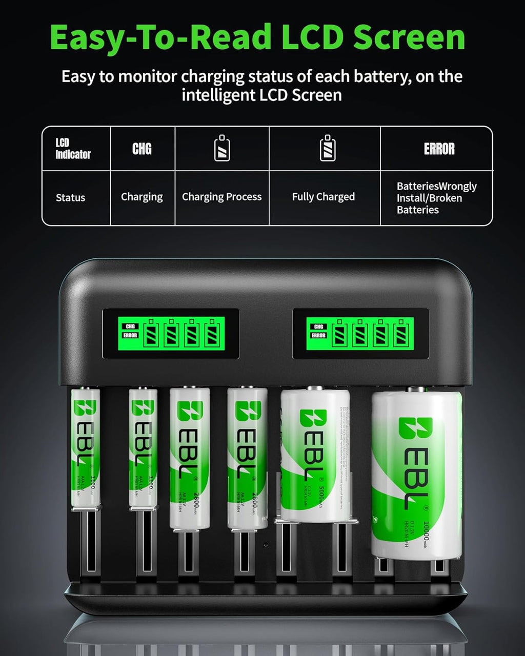 Rechargeable D Batteries 4 Pack with Battery Charger B411
