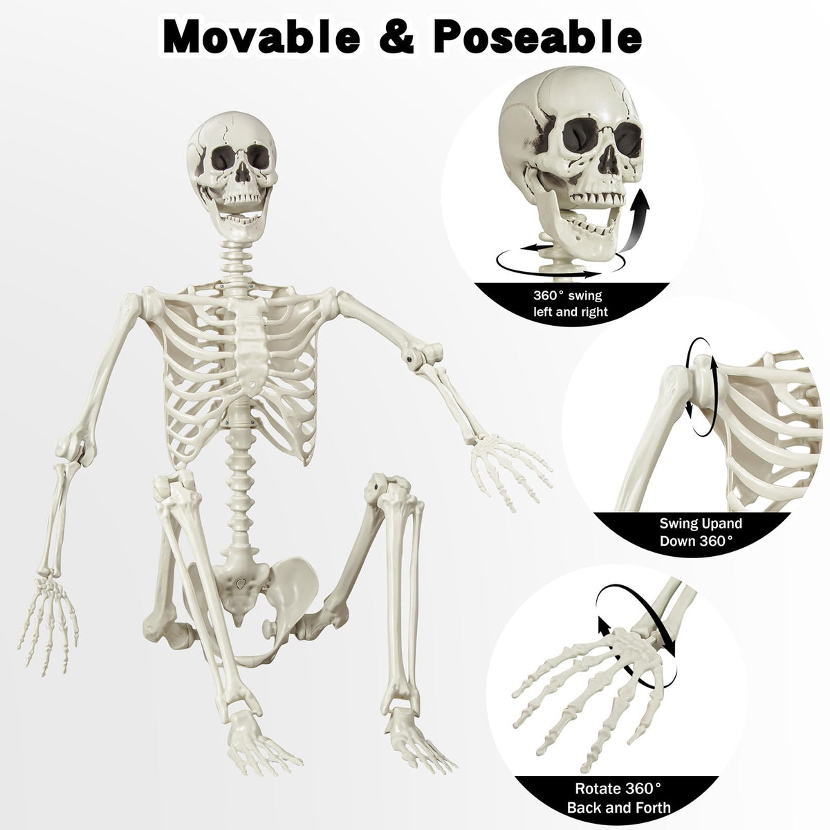 5.4 ft Posable Life Size Skeleton with Movable Joints U1771