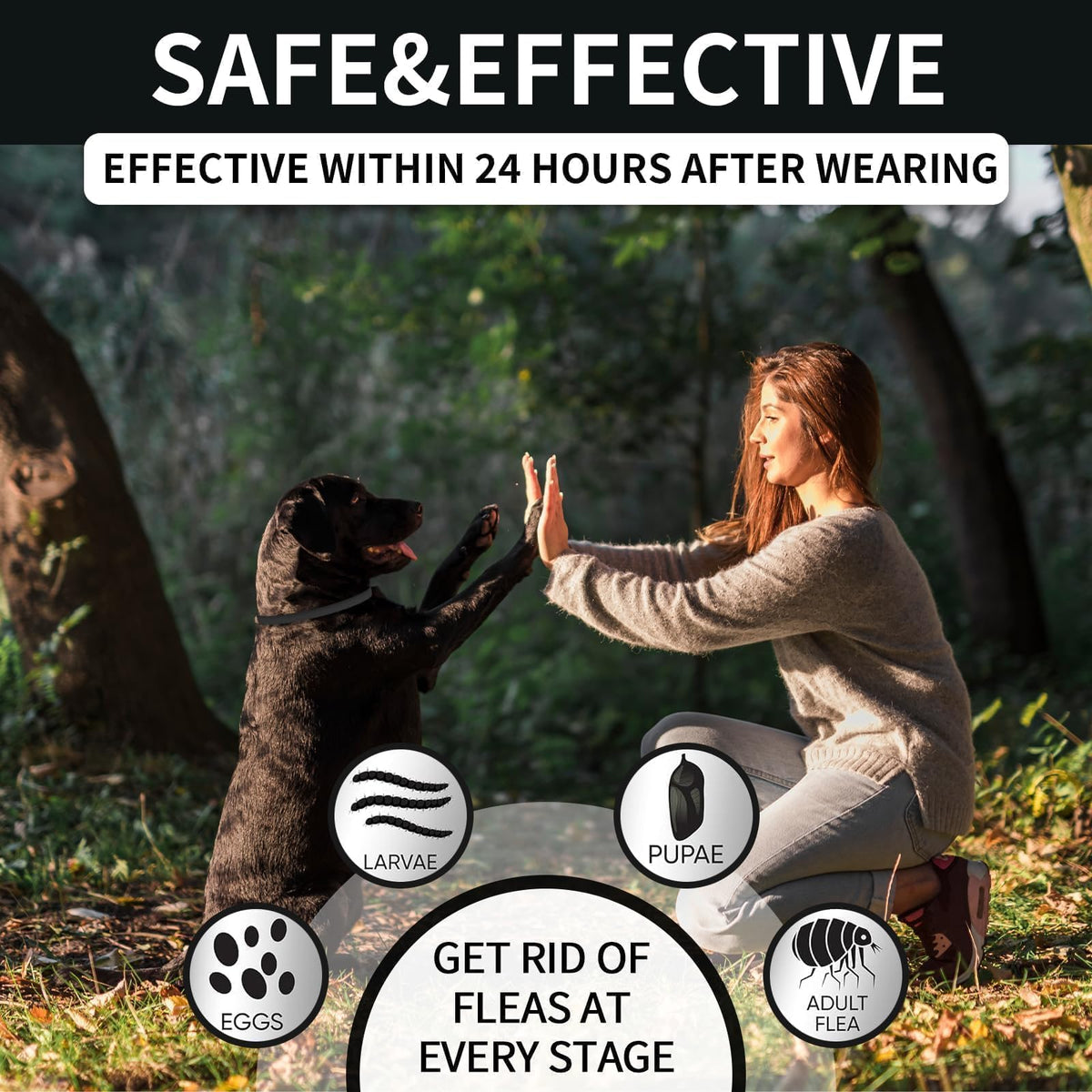 Flea and Tick Prevention Collar for Dogs 4 Pack P701455