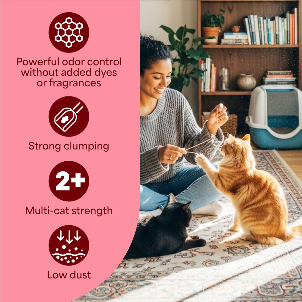 Unscented Multi Cat Clumping Litter, 18.5lb, 2Pk T315