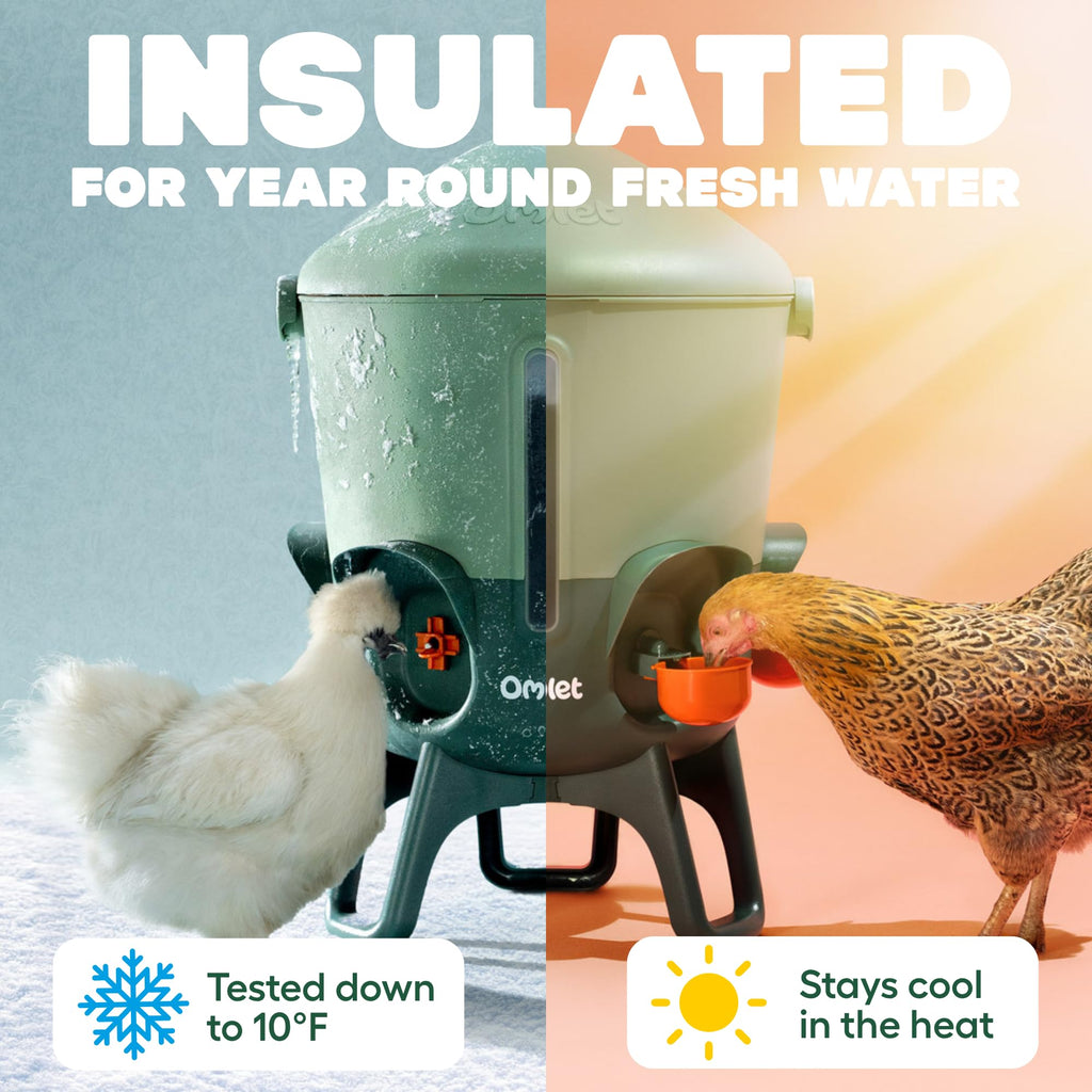 3 Gallon Insulated Chicken Waterer with Cups & Nipples N521