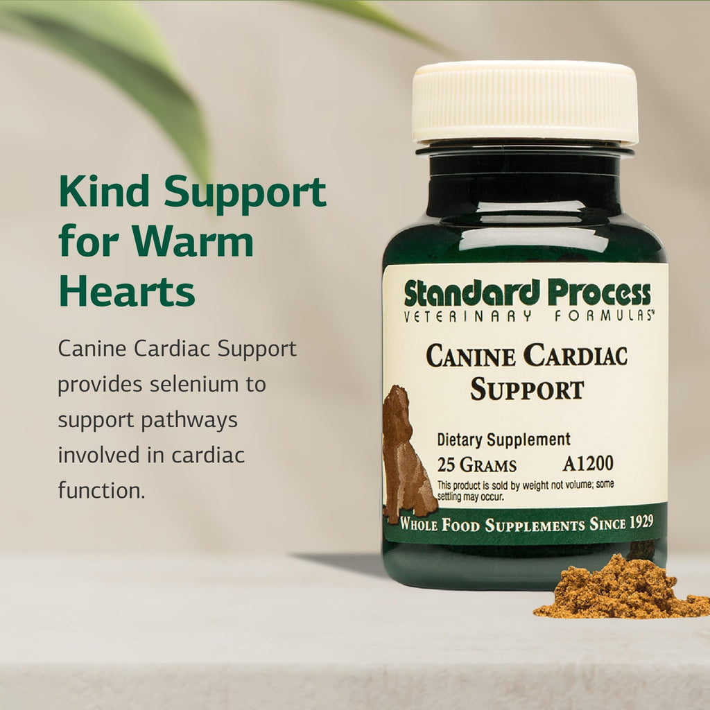 Canine Cardiac Support 25 g J695