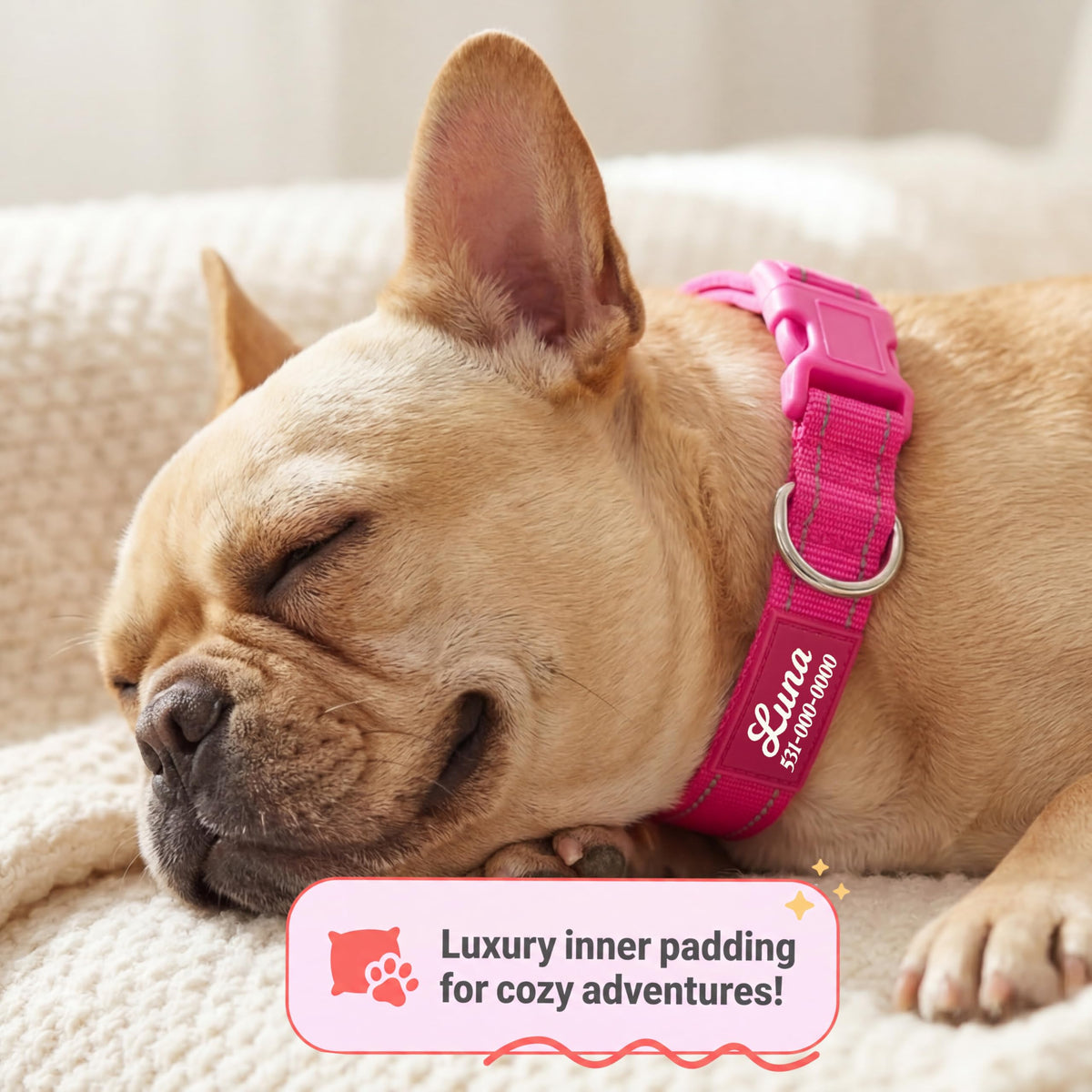 Reflective Nylon Personalized Dog Collar G6462