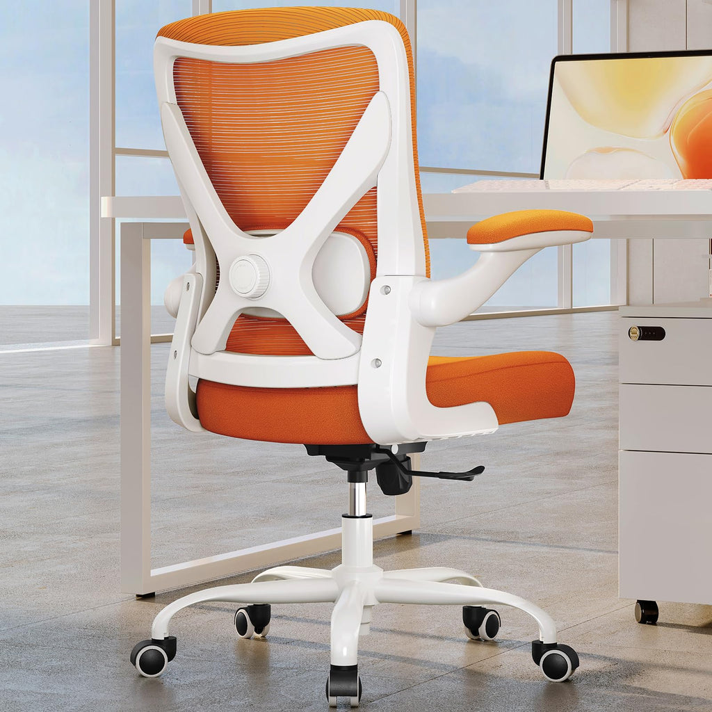 Mesh Ergonomic Office Chair with Lumbar B999933