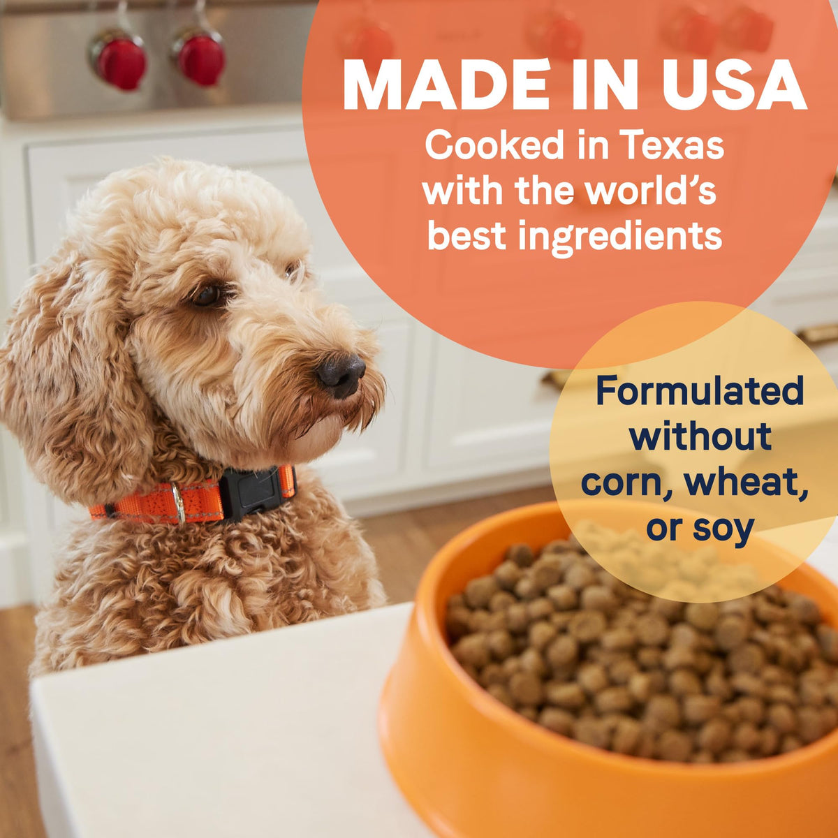Dry Dog Food with Chicken Turkey & Lamb, 40 lbs Z450