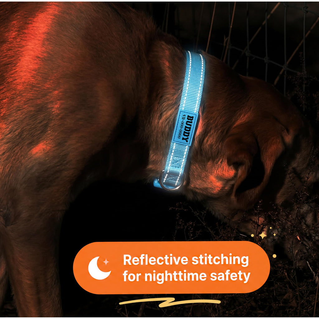 Reflective Nylon Personalized Dog Collar G6462