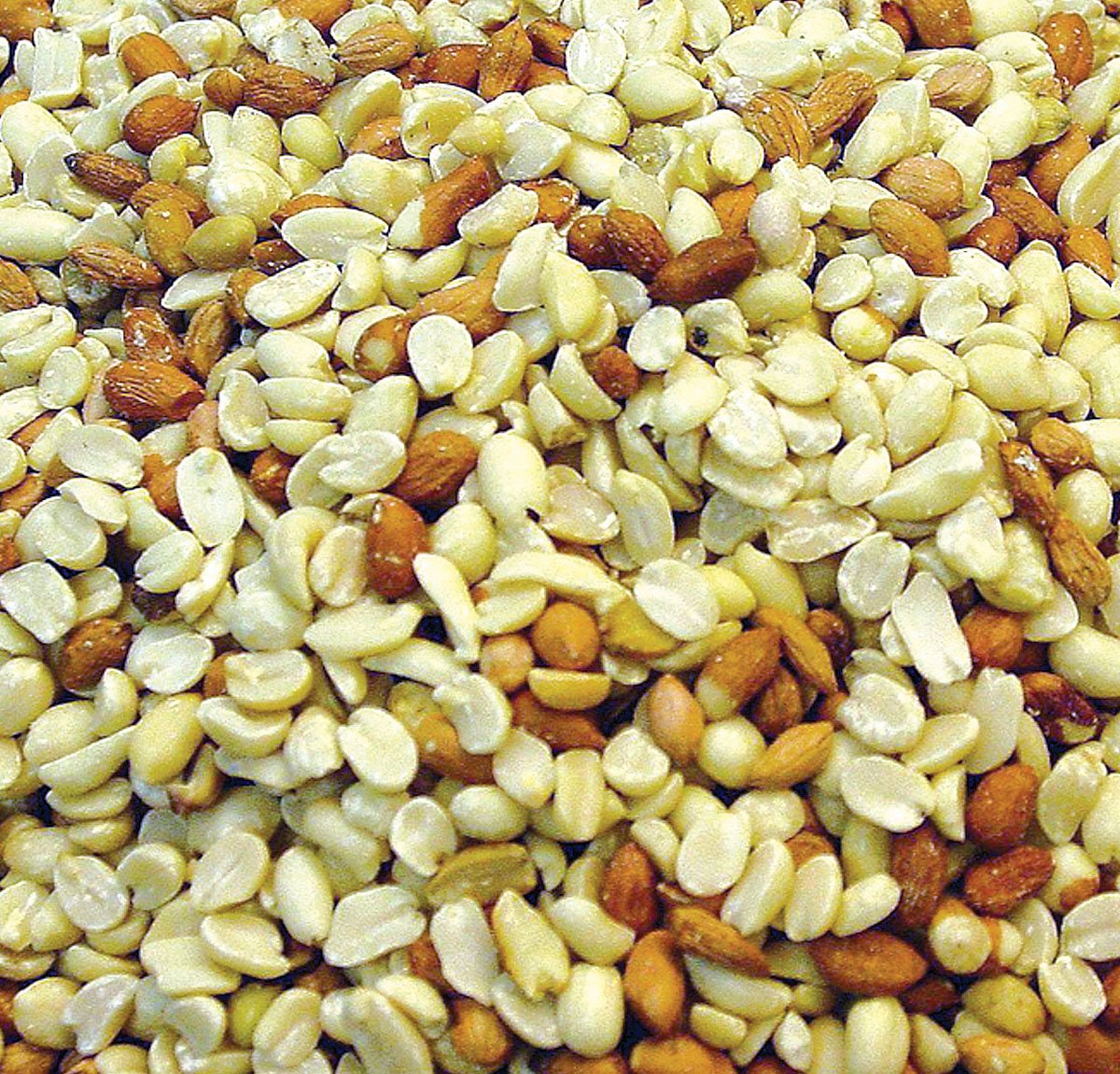 Raw Peanuts 25 lbs N304