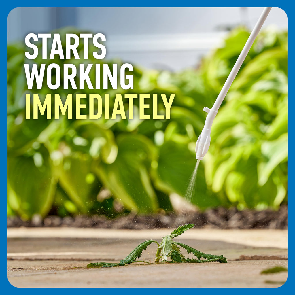 Roundup Weed & Grass Killer₄ with Comfort Wand, 1 gal. Y137