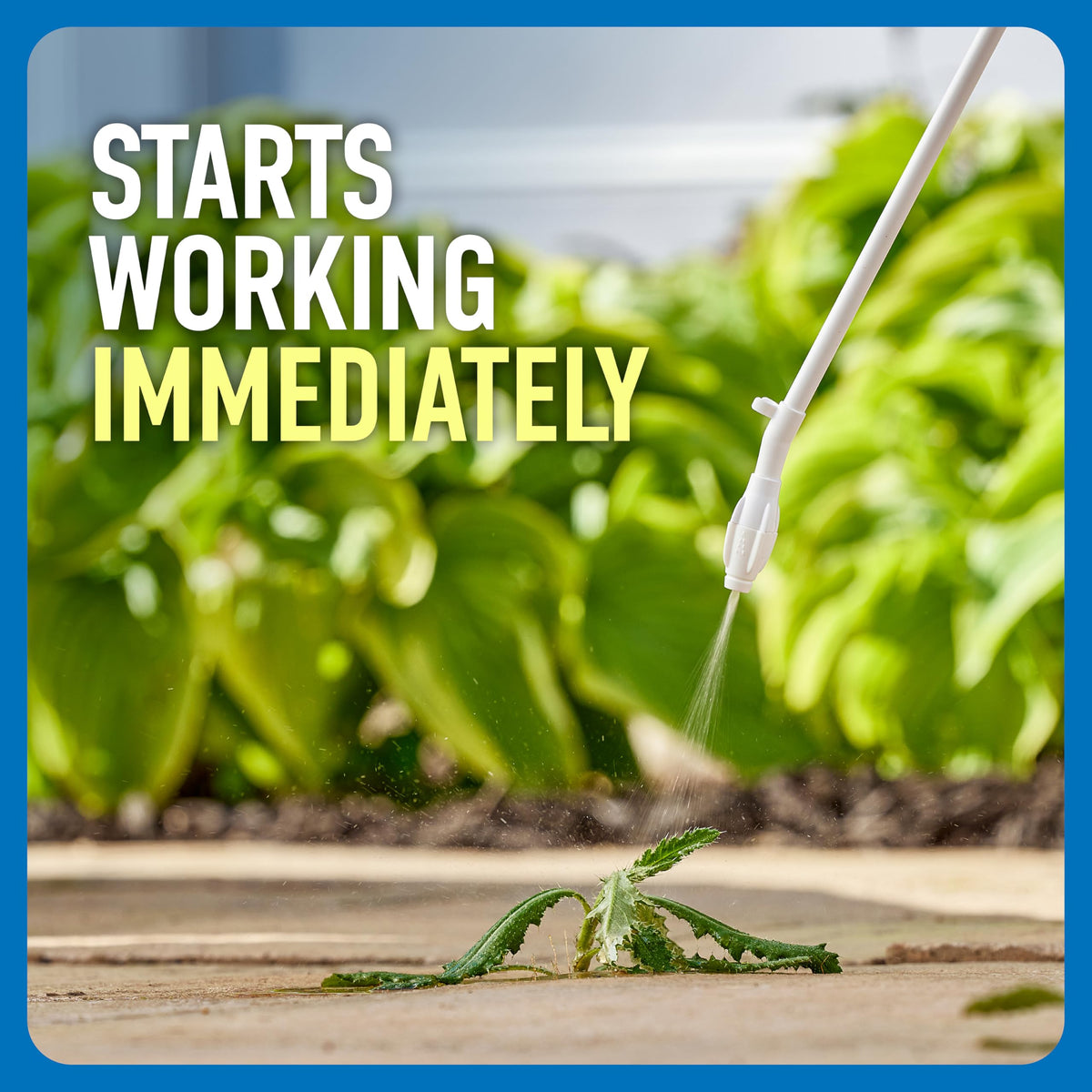Roundup Weed & Grass Killer₄ with Comfort Wand, 1 gal. Y137