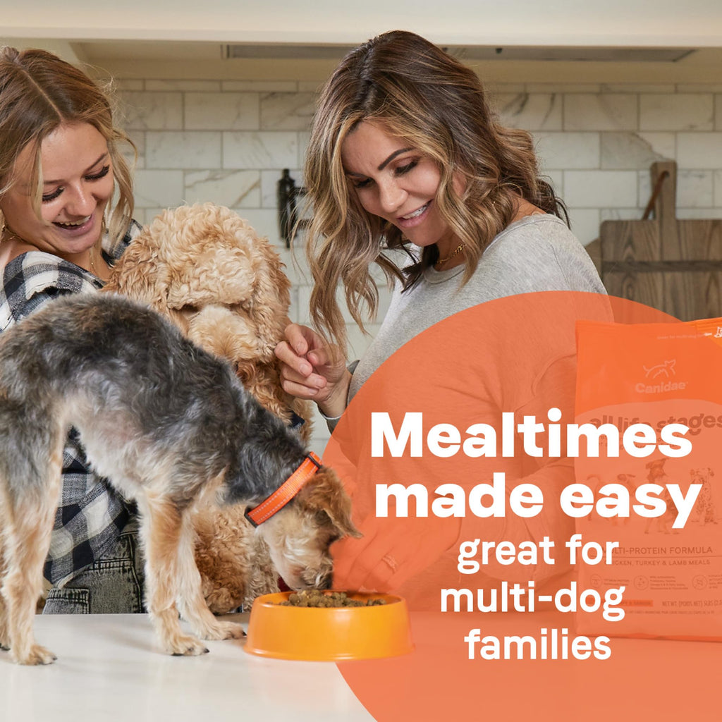 Dry Dog Food with Chicken Turkey & Lamb, 40 lbs Z450