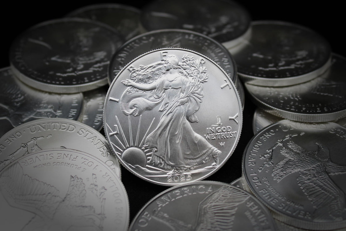 1 oz American Silver Eagle Coin M8254