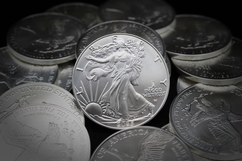 1 oz American Silver Eagle Coin M8254