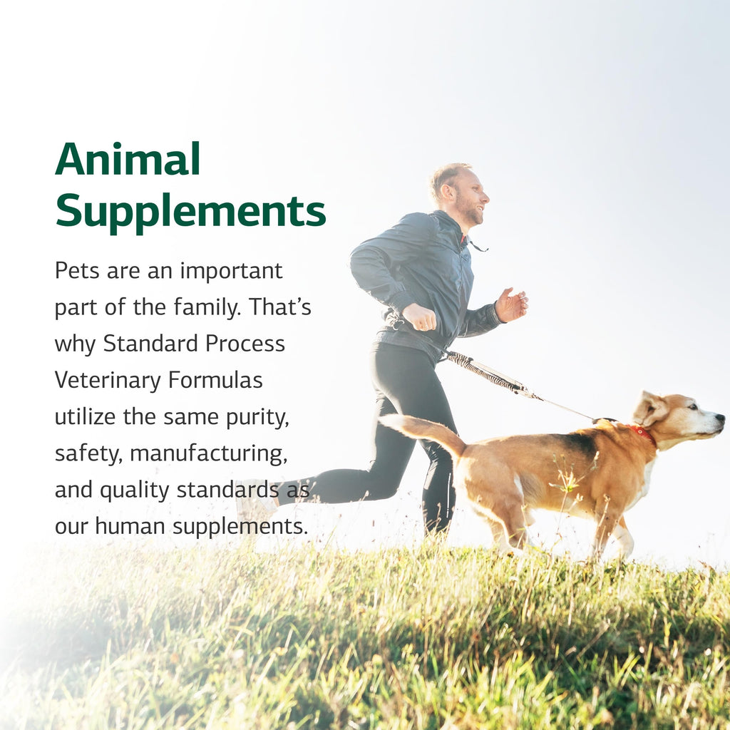 Canine Cardiac Support 25 g J695