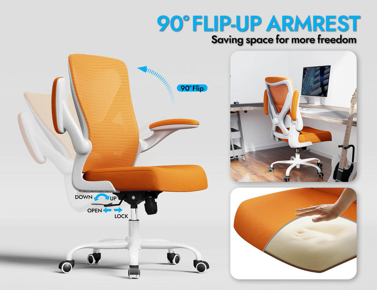 Mesh Ergonomic Office Chair with Lumbar B999933