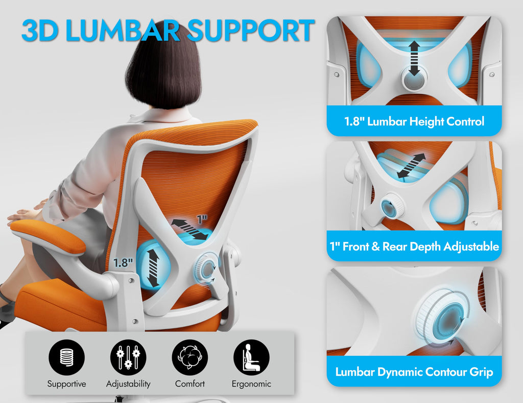 Mesh Ergonomic Office Chair with Lumbar B999933