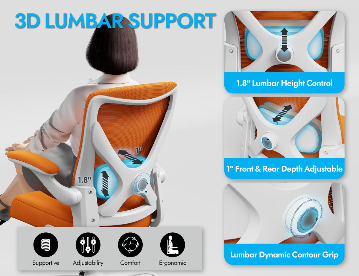 Mesh Ergonomic Office Chair with Lumbar B999933