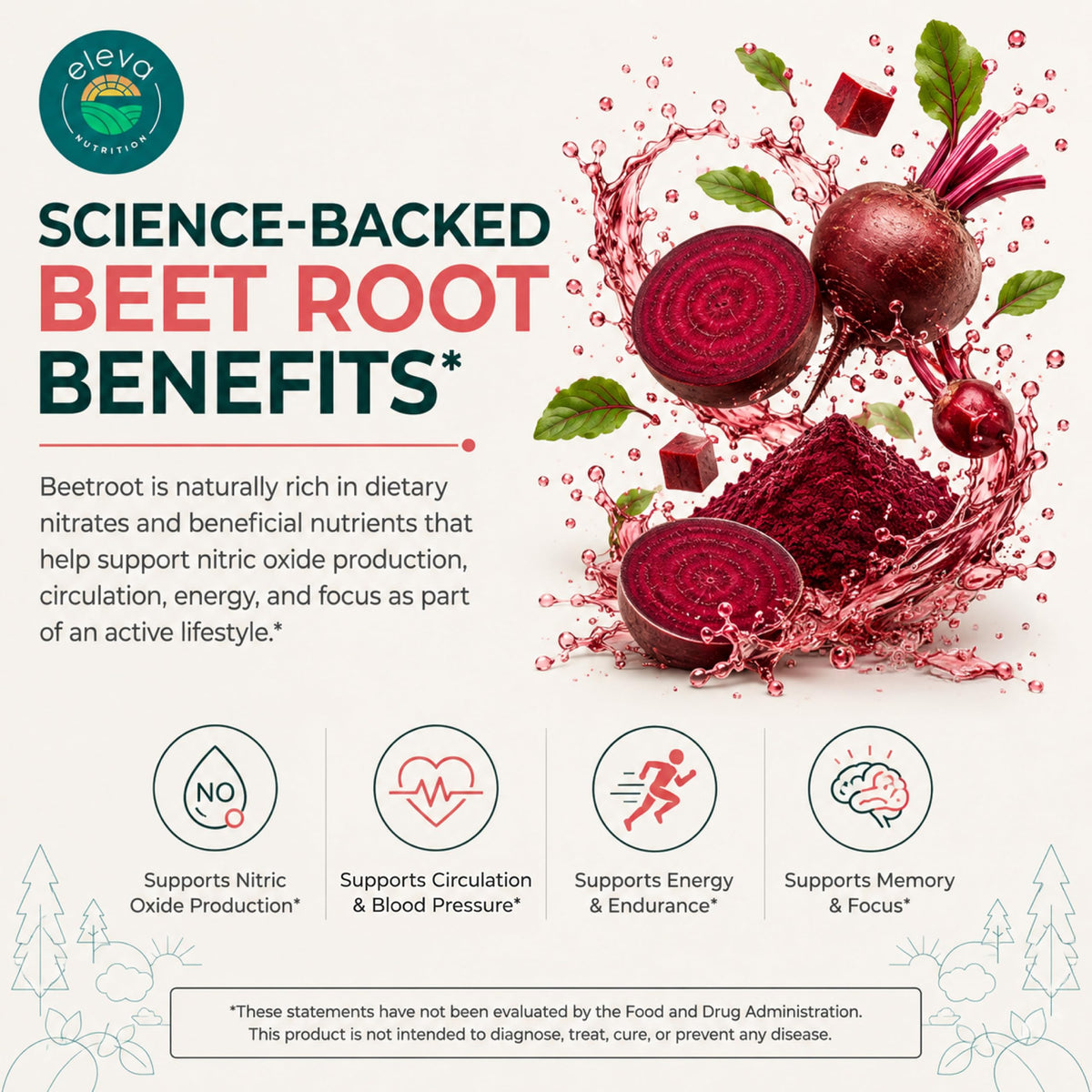 Sugar-Free Beet Root Gummies 90 Chews N6269
