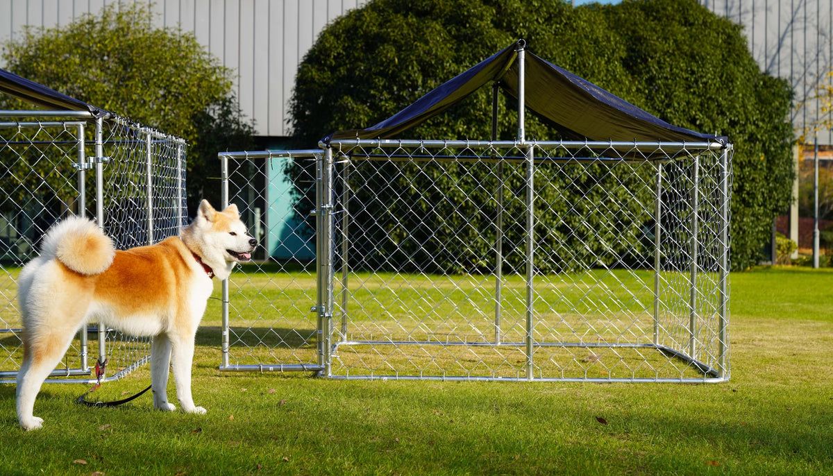 78"x 78" Heavy Duty Steel Dog Kennel P55870