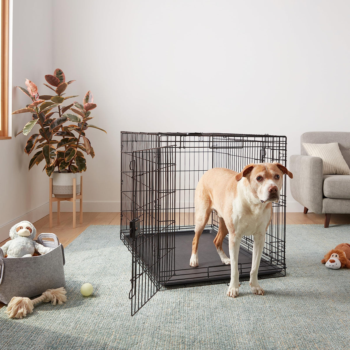 Portable Metal Wire Dog Crate, Double Door with Removable Tray, Black A97977