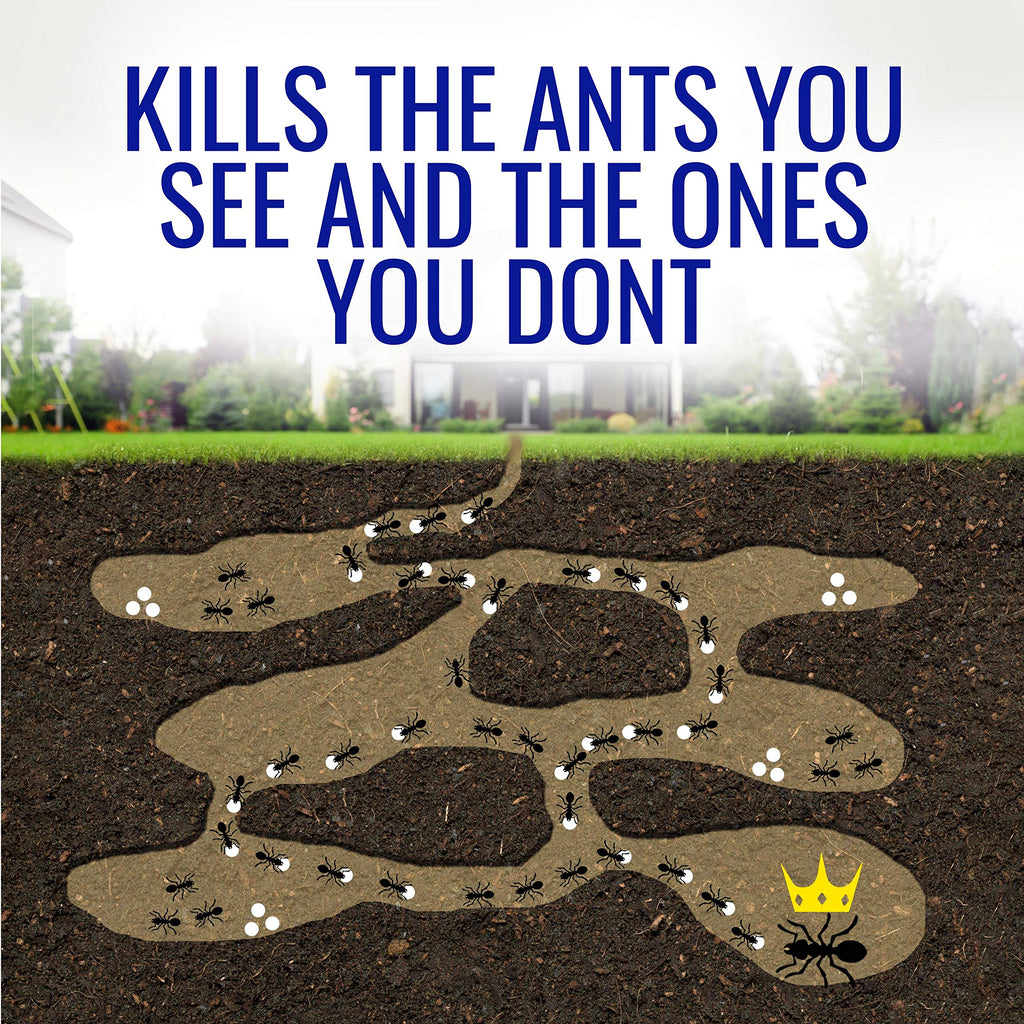 1 oz Liquid Ant Killer M870