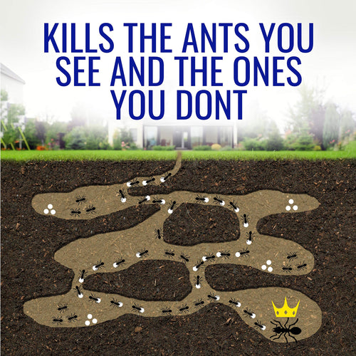 1 oz Liquid Ant Killer M870